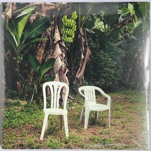 Bad Bunny – Debí Tirar Más Fotos – Opaque Double Vinyl Record 2026 NEW